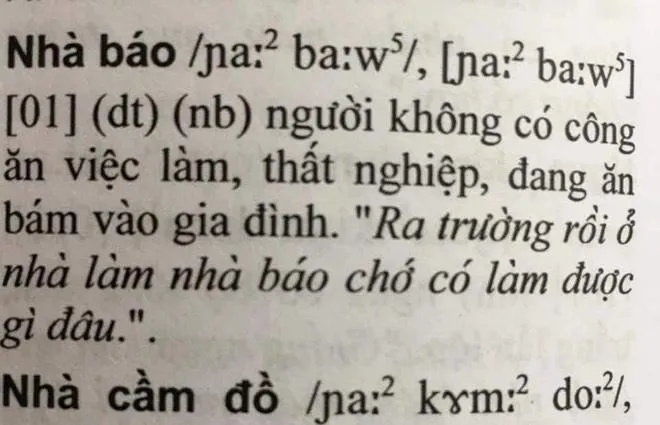 Định nghĩa về Nhà báo trong cuốn Từ điển gây xôn xao dư luận. Ảnh: Zing