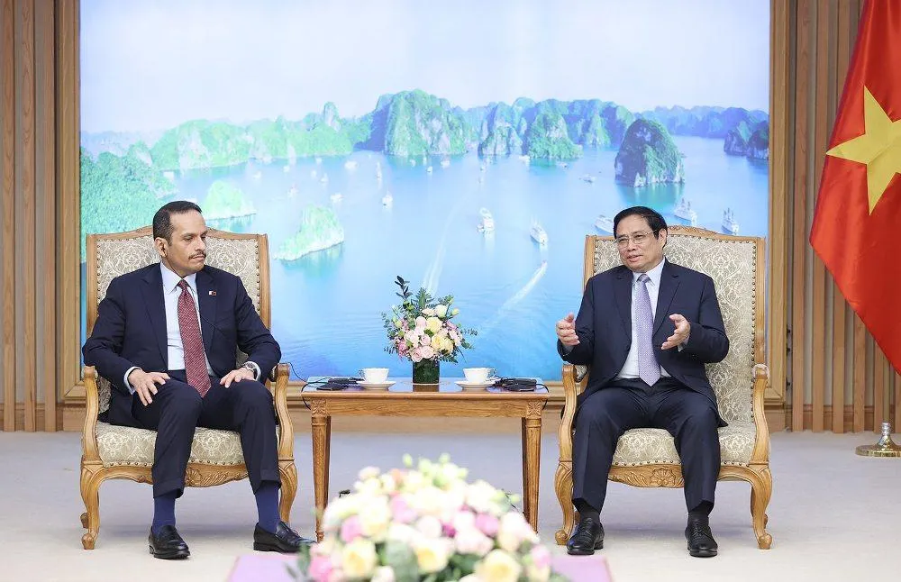 Thủ tướng Chính phủ Phạm Minh Chính tại buổi tiếp. Ảnh: BNG Thủ tướng Chính phủ Phạm Minh Chính tại buổi tiếp. Ảnh: BNG