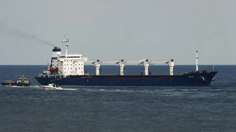 Thỏa thuận ngũ cốc ở Biển Đen đang bị tạm đình chỉ. Ảnh: Sputnik.