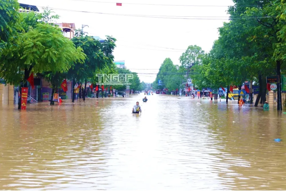 bay tìm kiếm cứu hộ