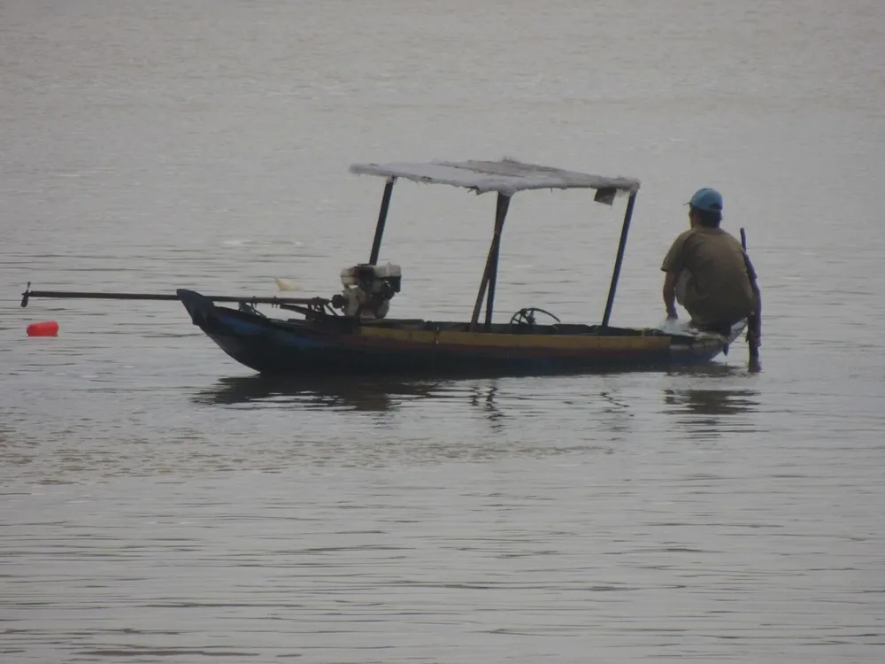 Bến Tre: Cắt ngọn cổ thụ đề phòng gãy đổ trong bão16 ảnh 8