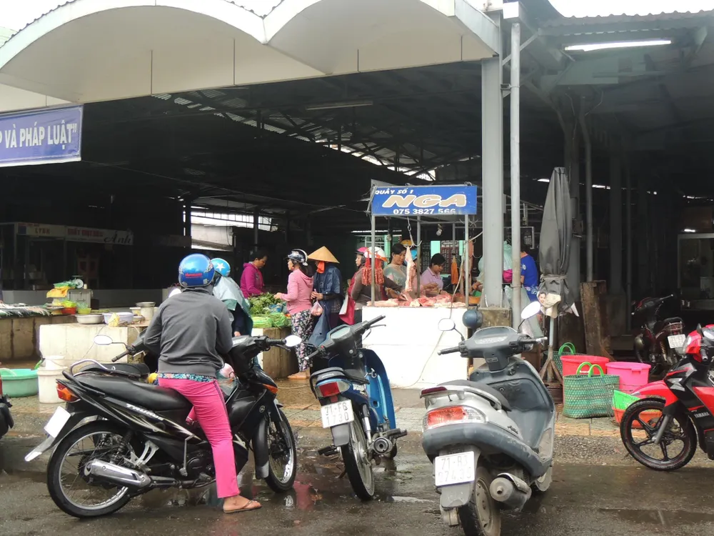 Bến Tre: Cắt ngọn cổ thụ đề phòng gãy đổ trong bão16 ảnh 3