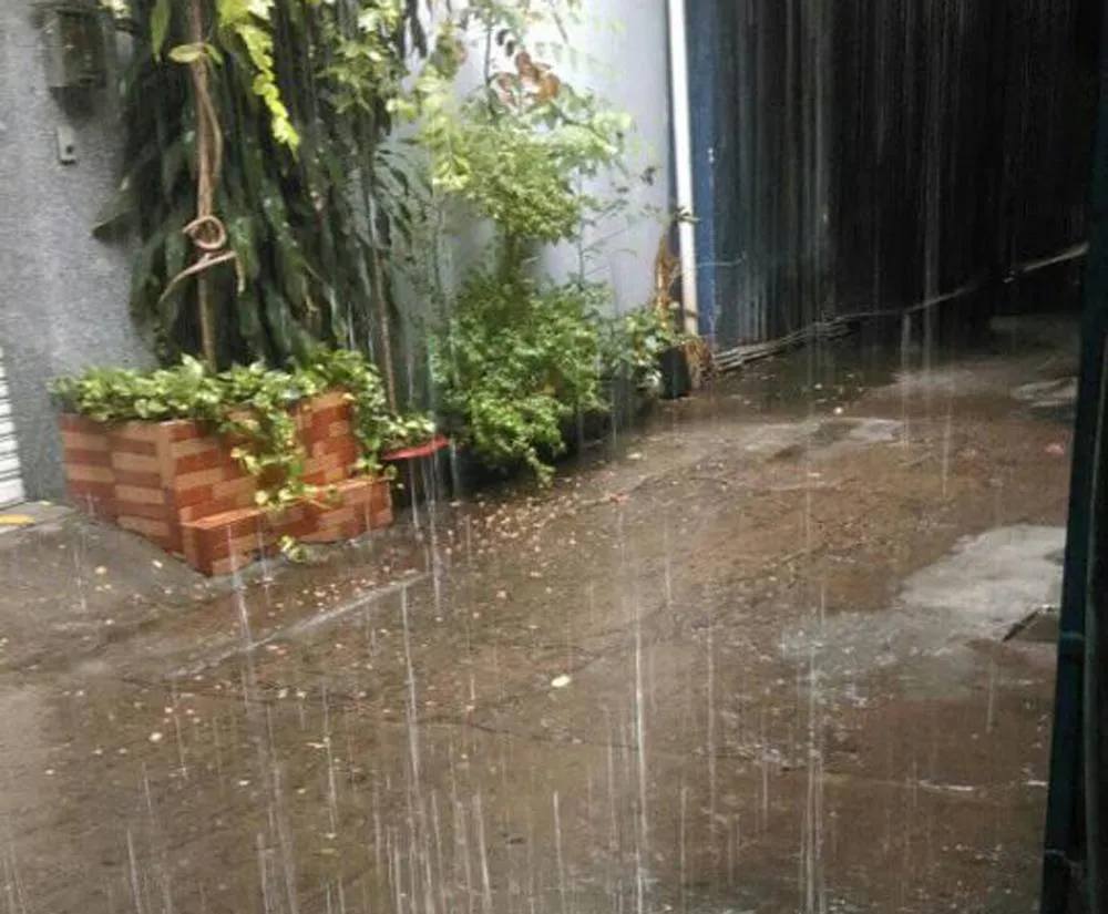 TP.HCM, Bình Dương… hứng cơn mưa ‘vàng’ ảnh 4