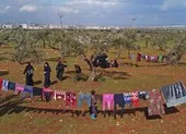 Bệnh nhân khỏi bệnh tặng hoa cho bác sĩ điều trị COVID-19 ảnh 2 COVID-19 lan tới Idlib như sóng thần,100.000 người có thể chết