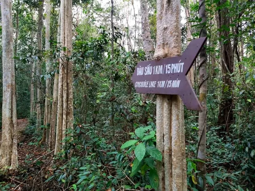 Bí ẩn cung đường đến vương quốc cá sấu giữa rừng Cát Tiên ảnh 13