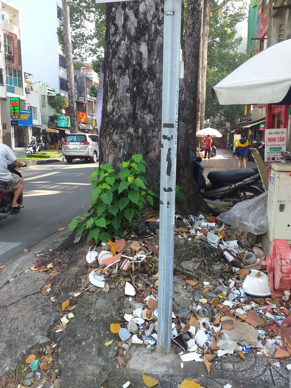Ngoài một số tuyến đường phố cây xanh được chỉnh trang, chăm chút làm đẹp, thì vẫn có không ít gốc cây xanh có hình ảnh xấu xí như thế này chinh trang goc cay 1.jpg