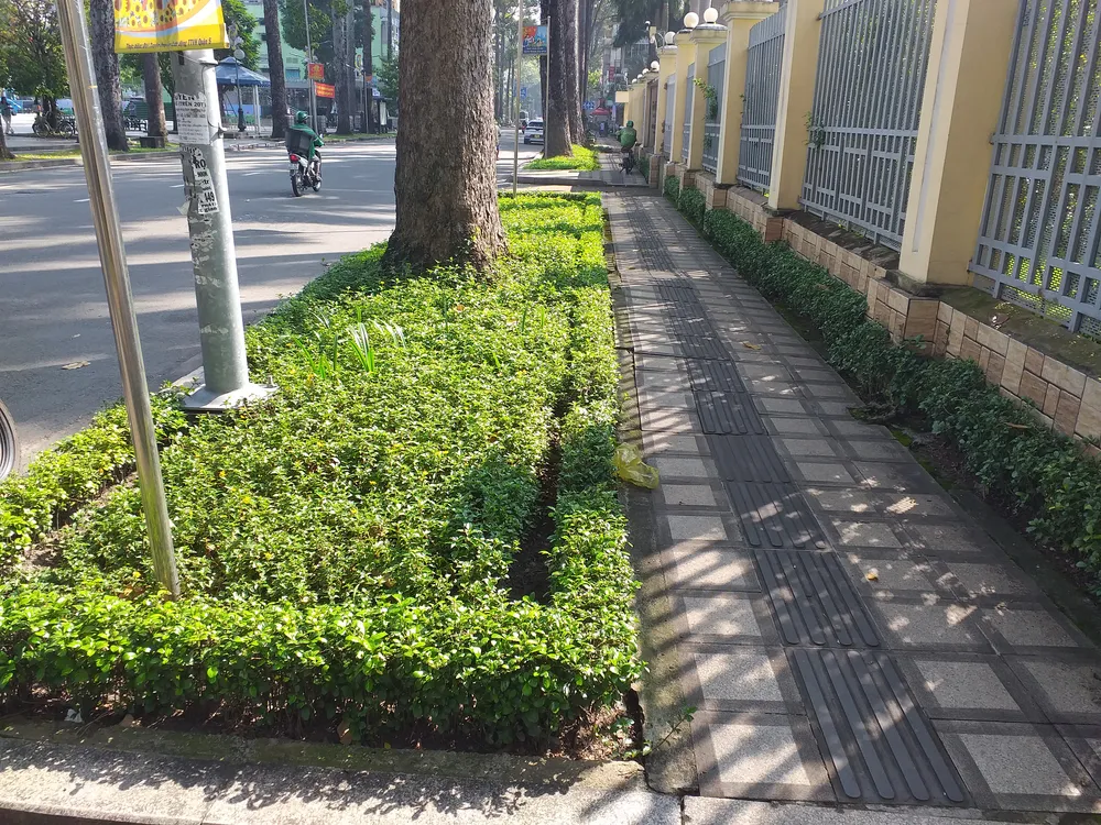 Mỗi gốc cây ở các tuyến đường phố nếu được chỉnh trang như thế này thì bộ mặt đô thị sẽ đẹp lên rất nhiều... lam dep goc cay .jpg