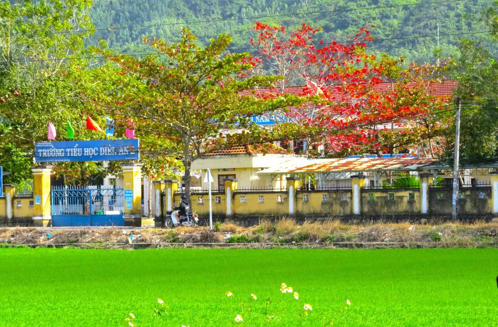 ve qu ngam hoa 0 dong 1.jpg