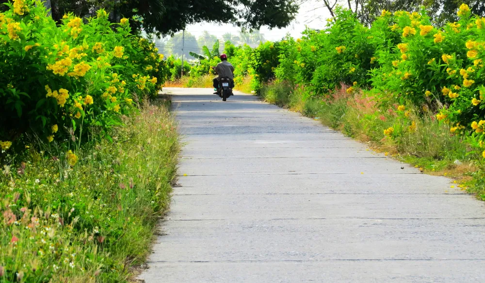 về quê ngăm hoa 0 đồng