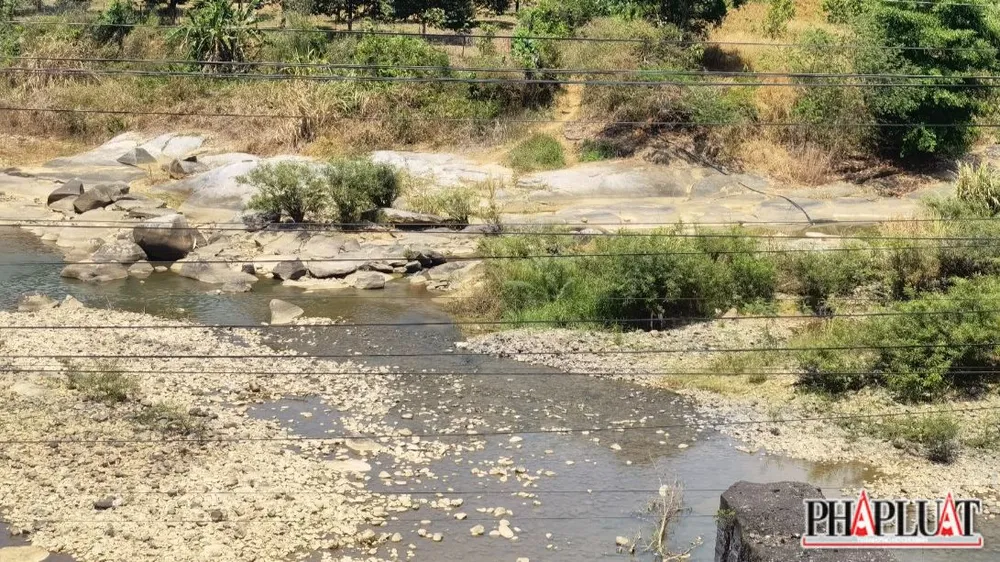 khô hạn ở tỉnh Lâm Đồng