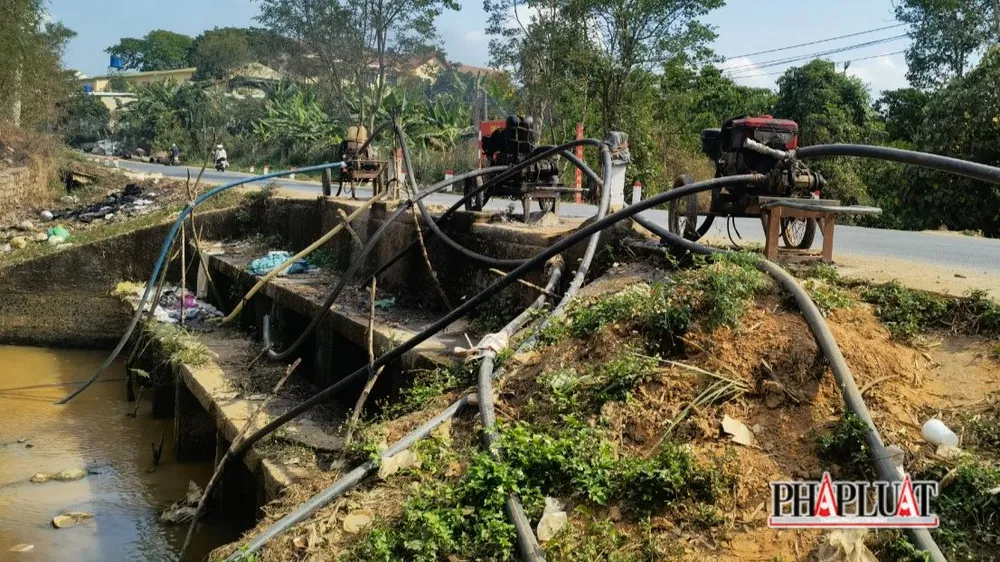 khô hạn ở tỉnh Lâm Đồng