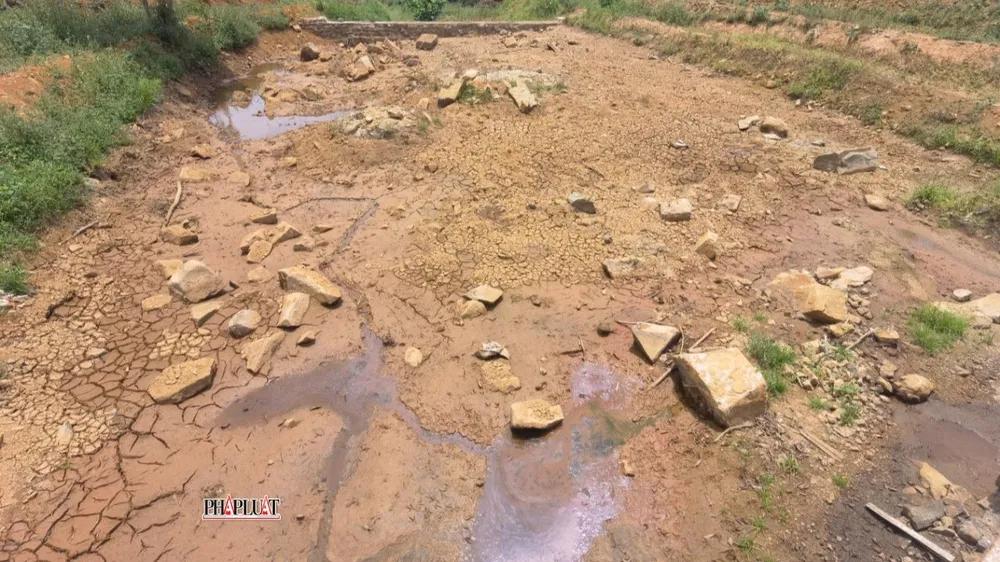 khô hạn ở tỉnh Lâm Đồng