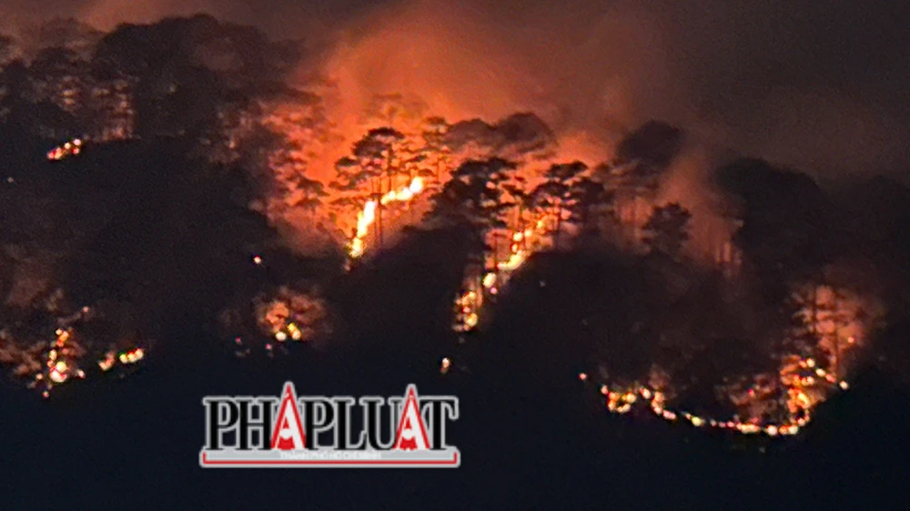 Vụ cháy rừng trên đèo Prenn ngày 7- 4. Ảnh: VÕ TÙNG