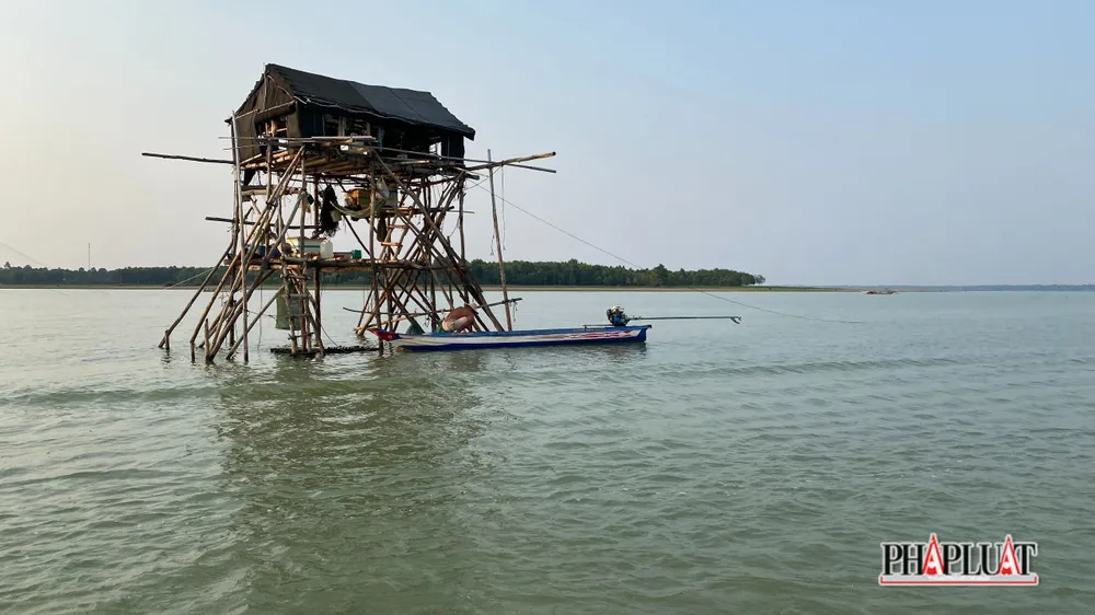 Những căn chòi của ngư dân làm nghề vó cá chênh vênh trên lòng hồ Dầu Tiếng. Từ lâu, ngư dân nơi đây đã nói không với các loại đánh bắt tận diệt như sử dụng thuốc nổ, xung điện, ghe nhủi.