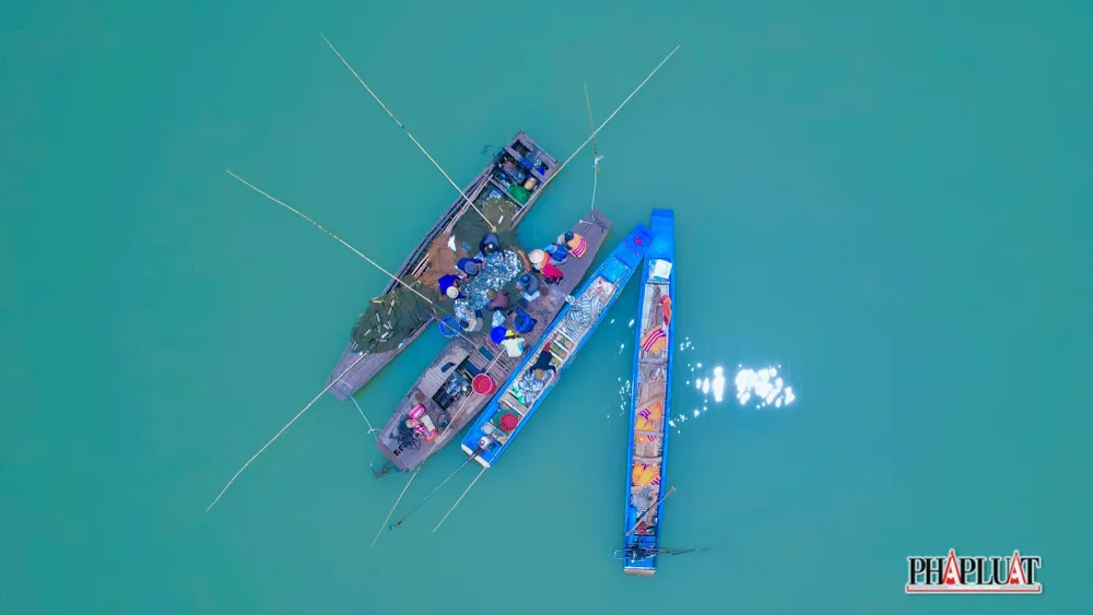 Hồ Dầu Tiếng còn được gọi là “Biển Hồ” của Tây Ninh. Đây là hồ thủy lợi nhân tạo lớn nhất Đông Nam Á. Bên cạnh nguồn lợi về thủy sản, khoáng sản thì Hồ Dầu Tiếng còn được biết đến là một điểm du lịch đầy thú vị, thu hút một lượng du khách đến tham quan.