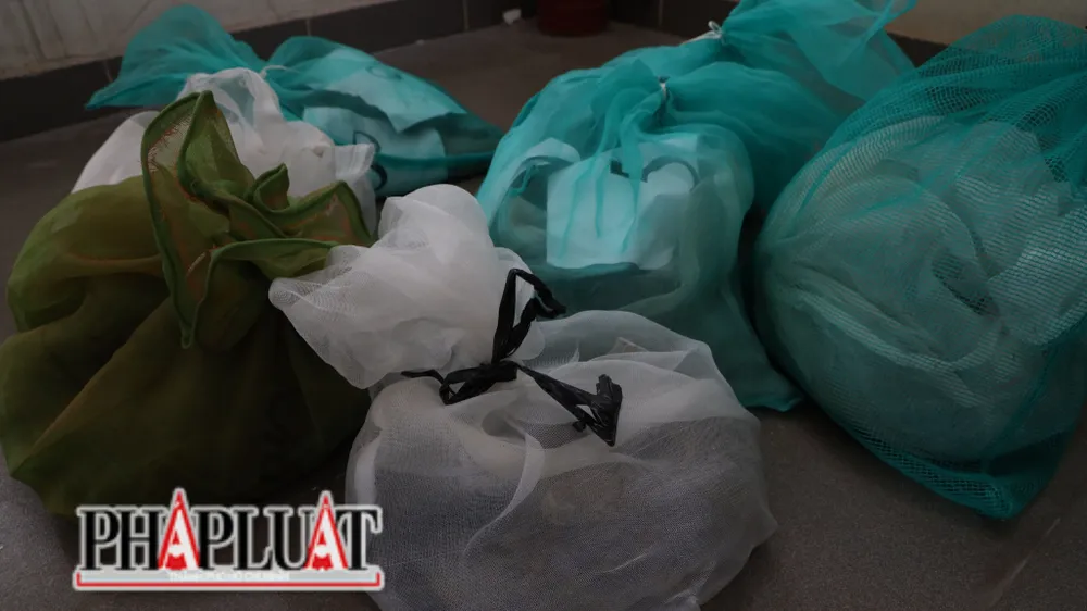 Công an thu giữ 9 con rắn hổ chúa. Ảnh: VÕ TÙNG