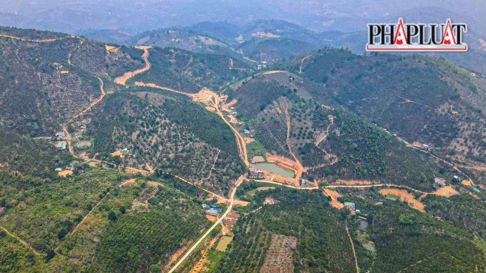 Tiểu khu 491 nơi ông Bình lập khống hồ sơ giao đất, giao rừng. Ảnh: VT Tiểu khu 491 nơi ông Bình lập khống hồ sơ giao đất, giao rừng. Ảnh: VT