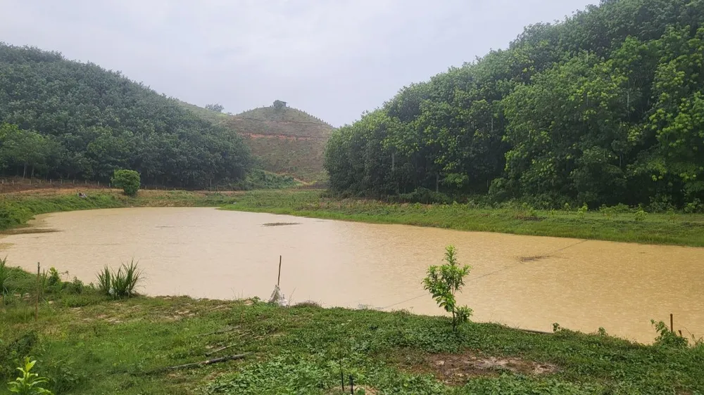 Nhiều nông dân mong ngóng những cơn mưa giải hạn. Ảnh: NGUYỄN TRỰC