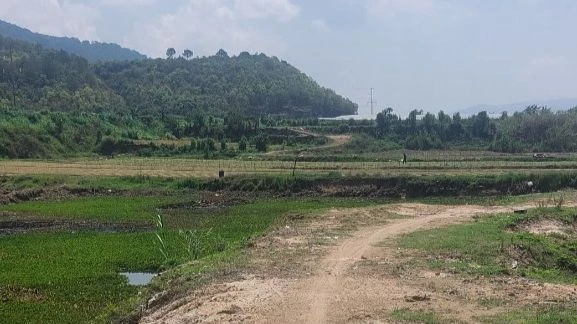 Vị trí dự kiến xây dựng cơ sở hạ tầng khu vực mỏ khai thác sét tại nhà máy gạch Tuynel Thạnh Mỹ. Ảnh: HN