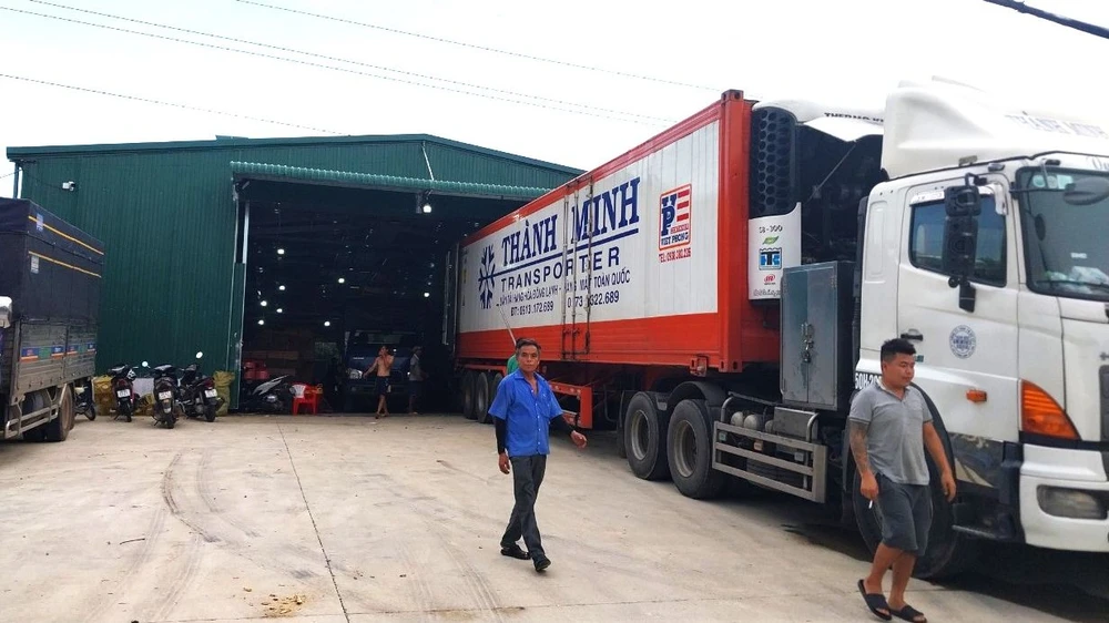 Mỗi container sầu riêng vận chuyển qua thị trường Trung Quốc có giá trị từ 2,5 – 2,7 tỷ đồng