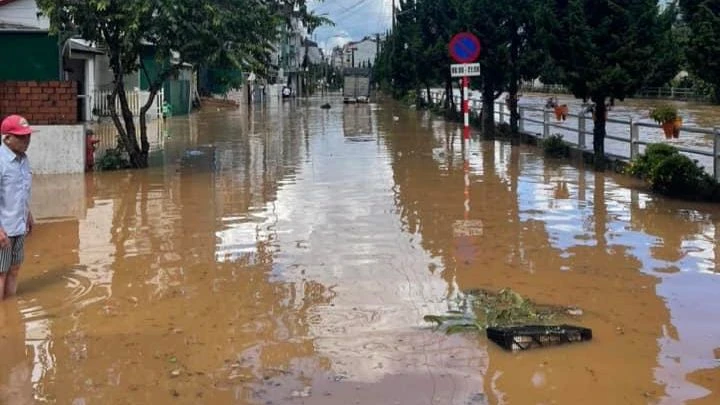 Nhiều cây xanh ở Đà Lạt gãy đổ sau trận mưa lớn ảnh 6