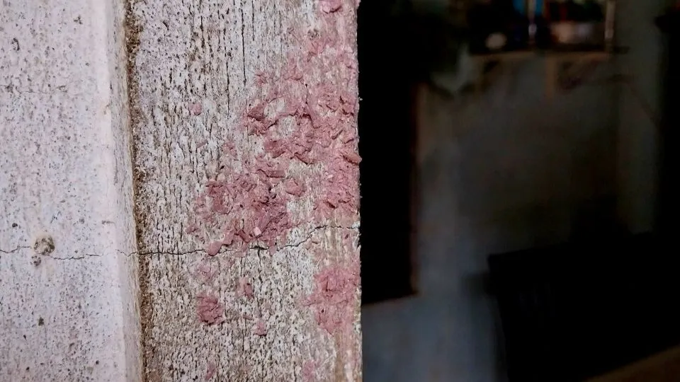 Mắm tôm do Hiền và Phước ném vào nhà bà Châu. Ảnh: VT Mắm tôm do Hiền và Phước ném vào nhà bà Châu. Ảnh: VT