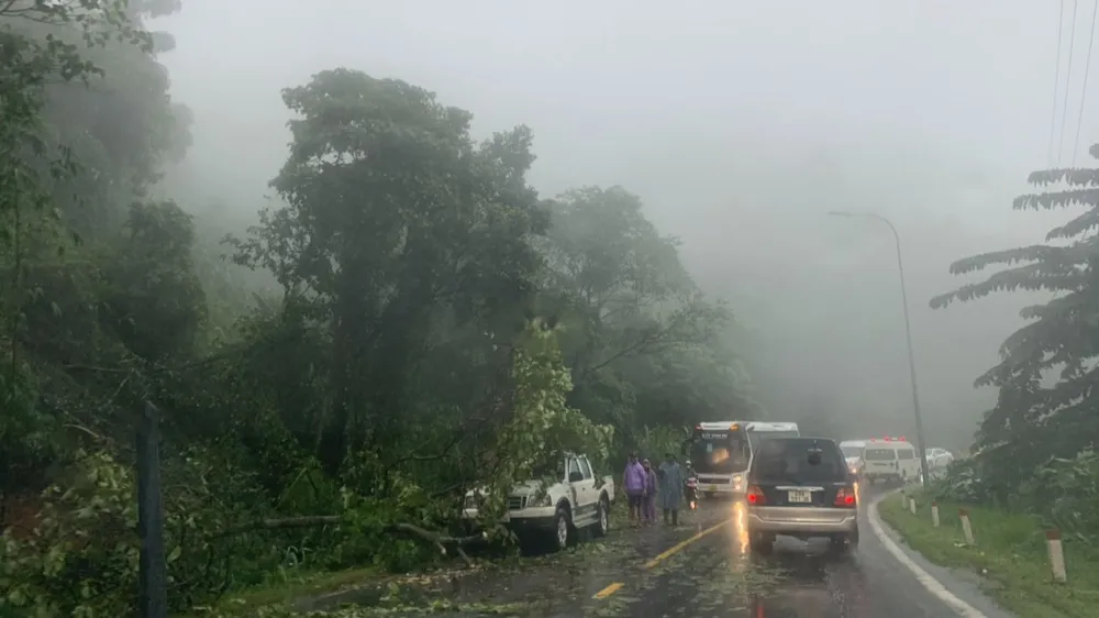 Nhiều cây xanh gãy đổ trên đèo Bảo Lộc