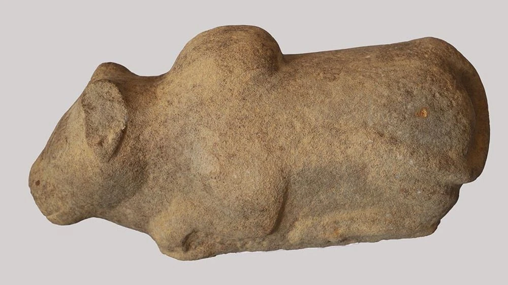 Tương bò Nandin DT số 4.JPG