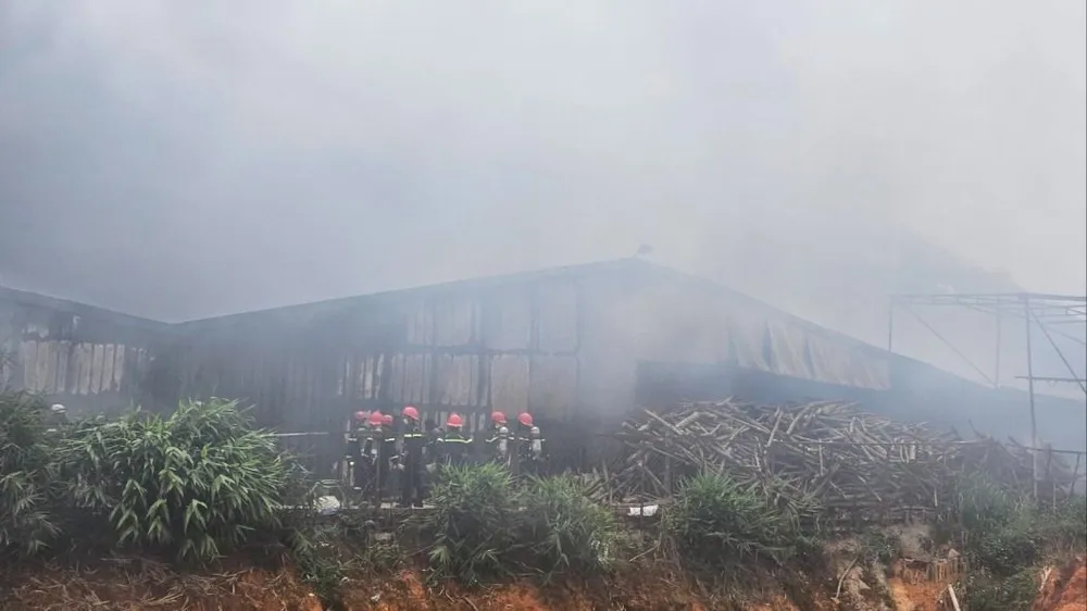 Cháy xưởng nấm lớn nhất Lâm Đồng