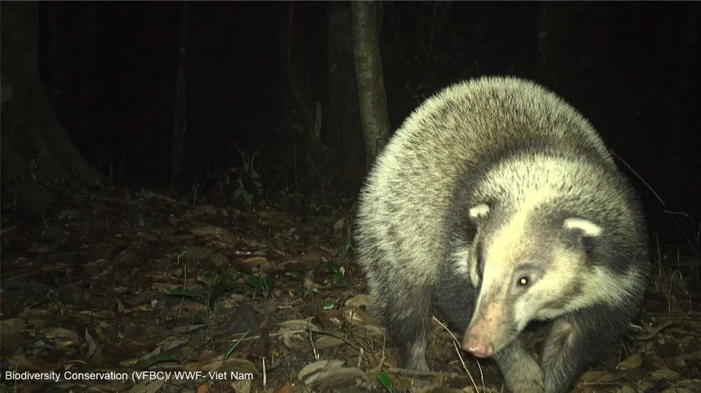 Bảo vệ thú rừng quý hiếm thông qua chương trình Hợp phần Bảo tồn Đa dạng sinh học