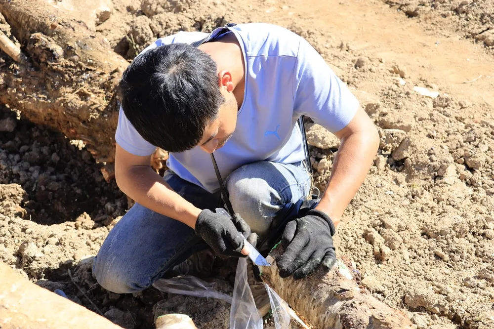 langbiang-5 lớn.jpeg