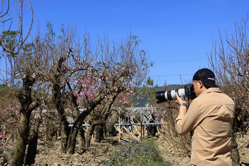 langbiang-7 lớn.jpeg