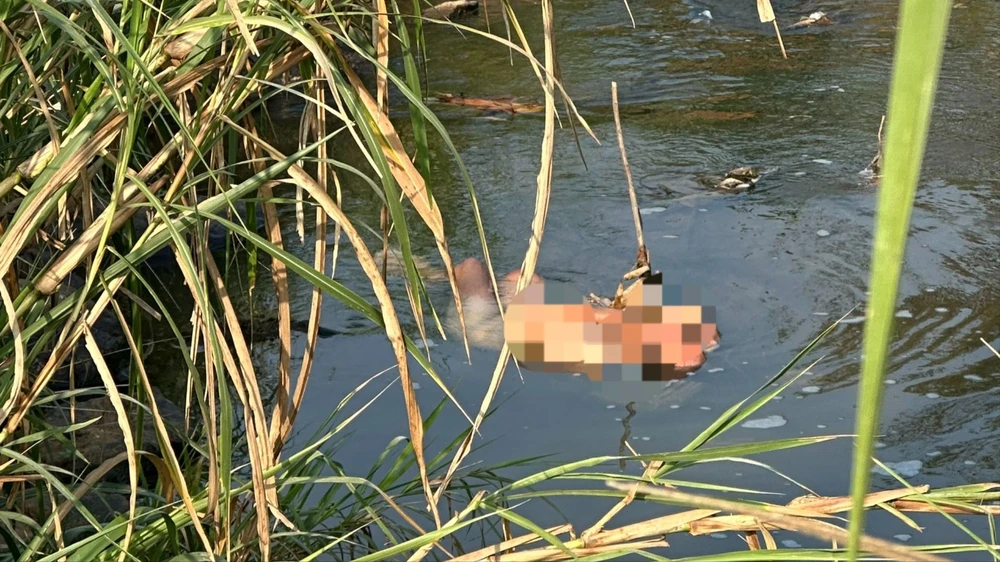 Người đàn ông rơi xuống suối vẫn sống sót sau 5 ngày tìm thấy