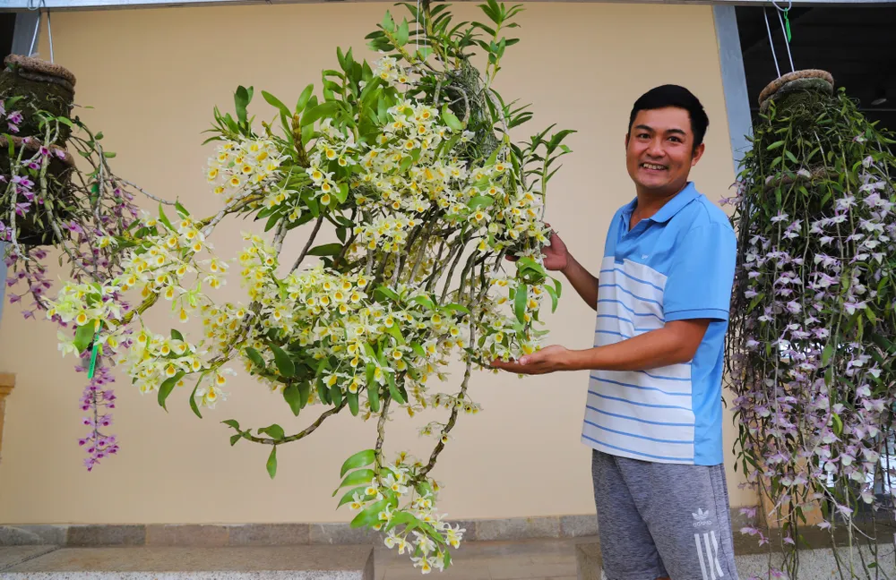 UBND TP Bảo Lộc sẽ duy trì hội thi hoa lan hàng năm vào dịp đầu năm mới. Ảnh: VT TP-Bao-Loc