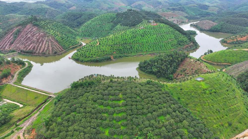 Cả ông Sanh và ông Trí bị xác định có sai phạm trong tính toán đền bù tái định cư hồ chứa nước Tư Nghĩa giai đoạn 2. Ảnh: VÕ TÙNG Bắt nguyên Phó Chủ tịch huyện Cát Tiên