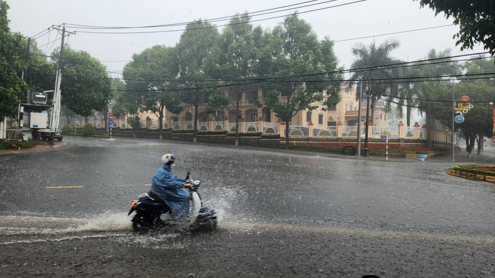 Nhiều địa phương trong tỉnh Lâm Đồng đón cơn mưa vàng. Ảnh: VT Nhiều nơi ở tỉnh Lâm Đồng đón cơn mưa vàng