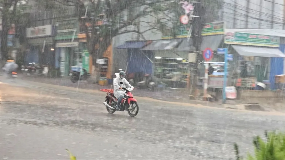 Cơn mưa rào quý giá ở Đà Lạt sau nhiều ngày nắng hạn. Xuất hiện mưa đá ngay trong cơn mưa đầu mùa ở Đà Lạt