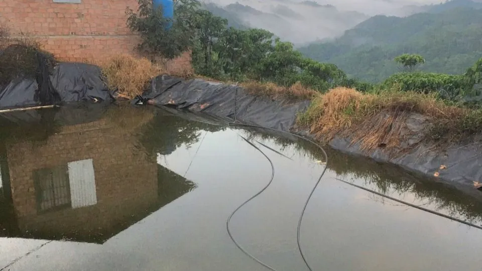 Hồ nước tưới cà phê, nơi hai cháu nhỏ bị đuối nước. 2 chị em đuối nước dưới ao tưới cà phê