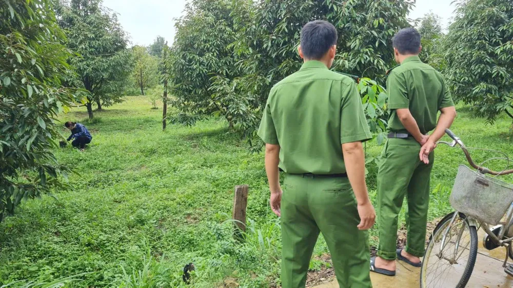 Công an huyện Đạ Tẻh đang điều tra vụ việc cay-sau-rieng-3.jpg