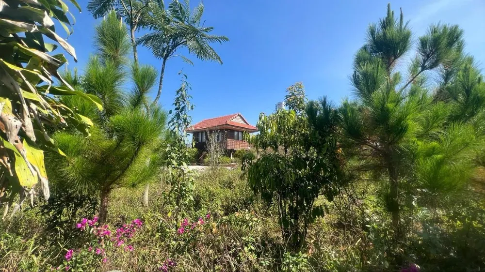 Nhiều diện tích đất giao cho Công ty cổ phần chè Minh Rồng trước đây biến thành đất tư nhân huyen-bao-lam-2.jpg