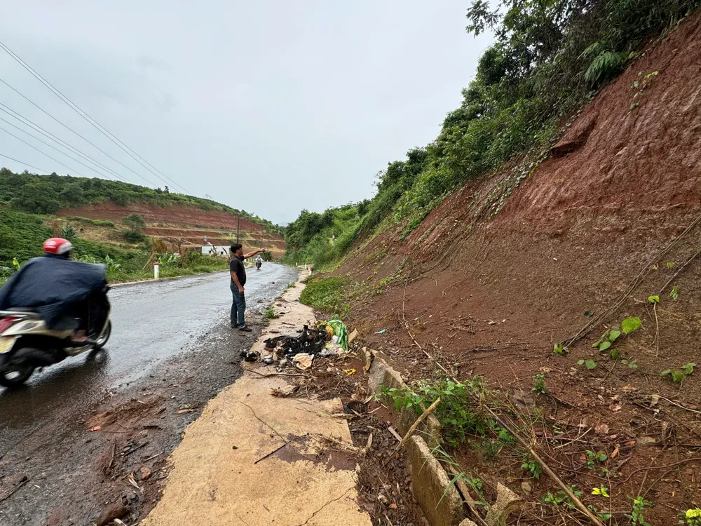 tinh-lam-dong-11.jpg