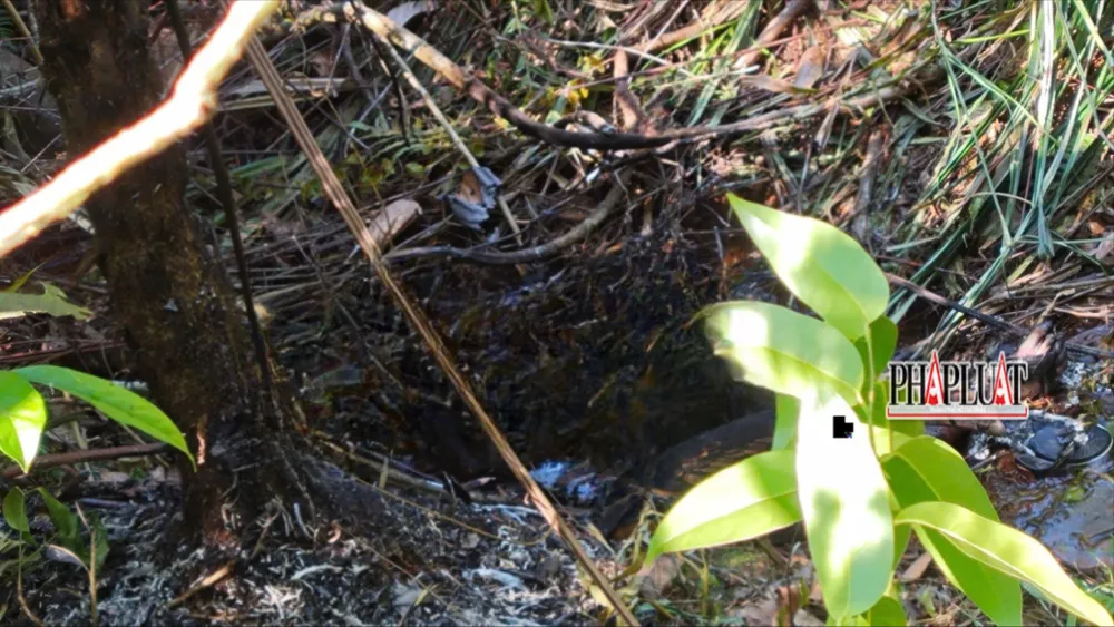 Phát hiện thi thể nghi là bác sĩ cháy đen ở TP Bảo Lộc