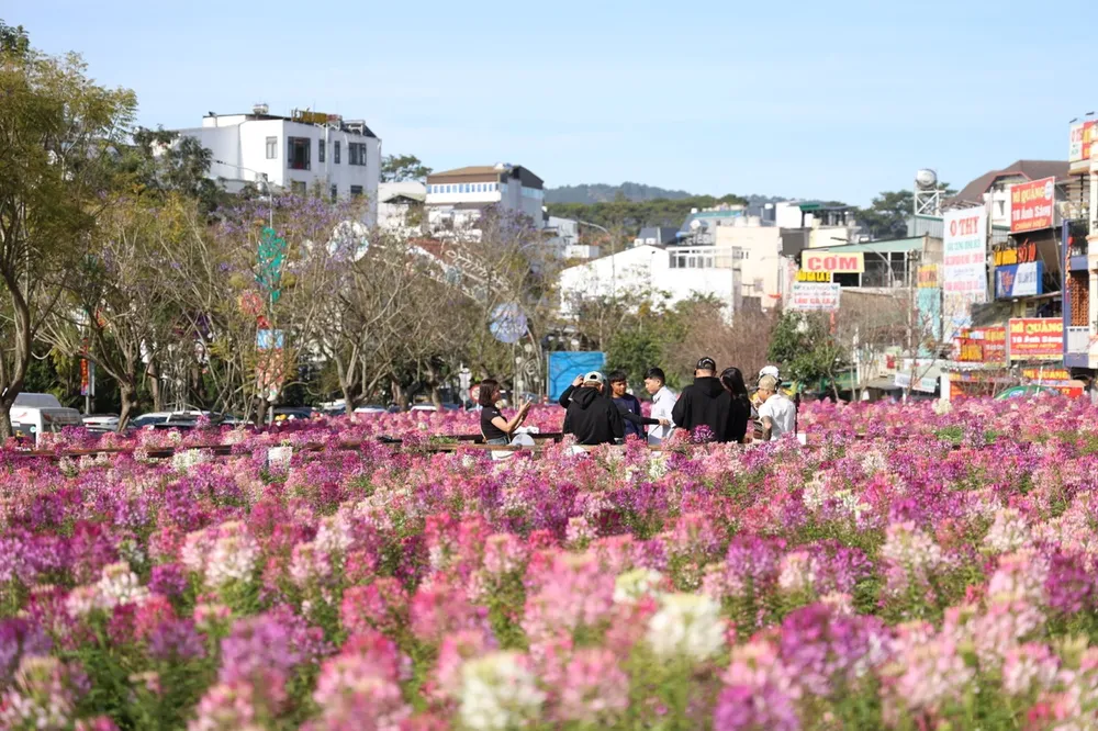 TP-Da-lat-02 lớn.jpeg