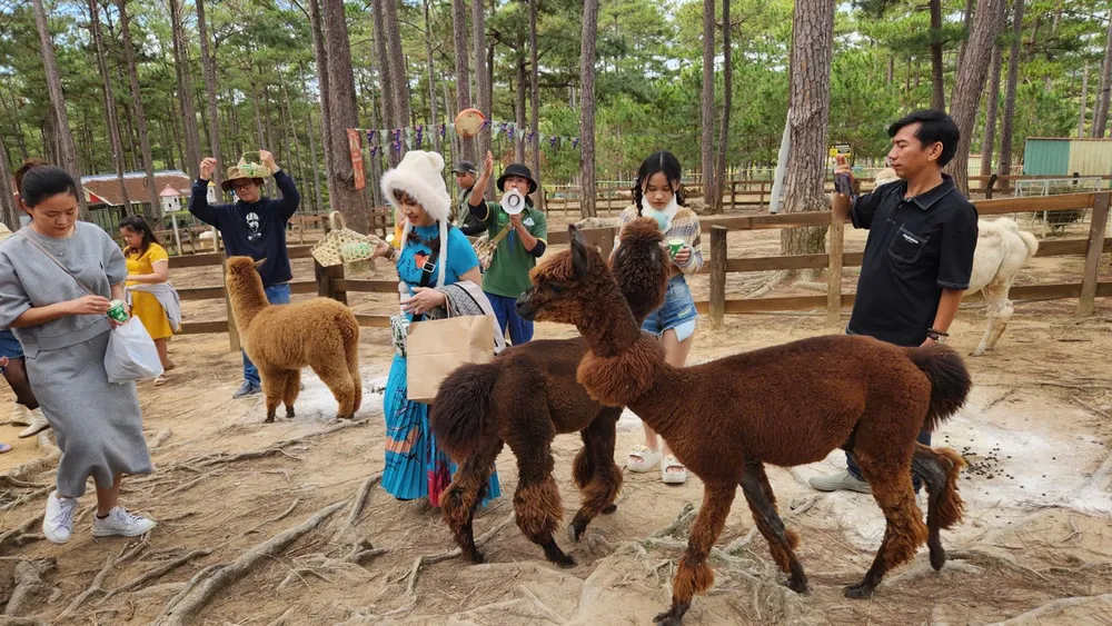 z6276352759174_beb75b6c0332a3b49e5bd4ab392628ff lớn.jpeg