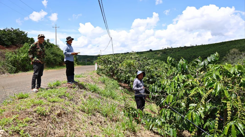 Tỉnh Lâm Đồng giải ngân đầu tư công còn rất chậm khiến nhiều dự án chưa thể triển khai. Ảnh: CHÍNH PHONG