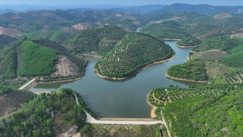 Lâm Đồng triển khai loạt chương trình, đề án lớn thực hiện Quy hoạch lâm nghiệp quốc gia