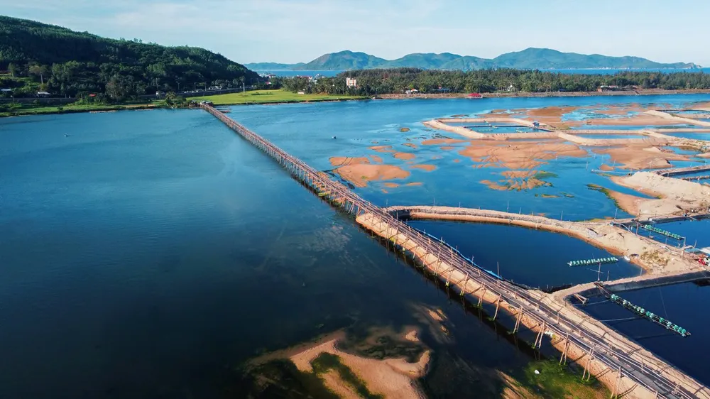 cầu gỗ ông cọp