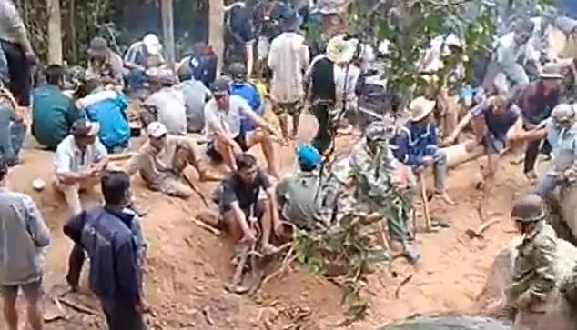 Nhiều người đào bới trong rừng phòng hộ Đèo Cả để tìm kỳ nam. Ảnh: MH trầm kỳ.jpg