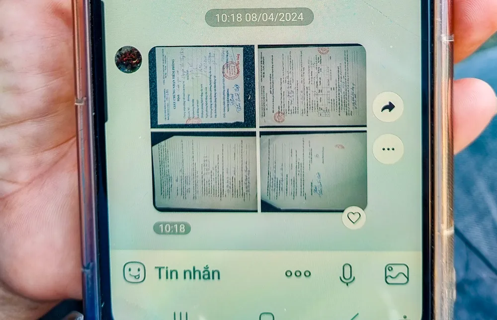 Việc kinh doanh của chị Hồng gặp khó khăn dù gà của vựa có đủ giấy tờ xuất xứ nguồn gốc. Ảnh: XUÂN HOÁT H6.jpg