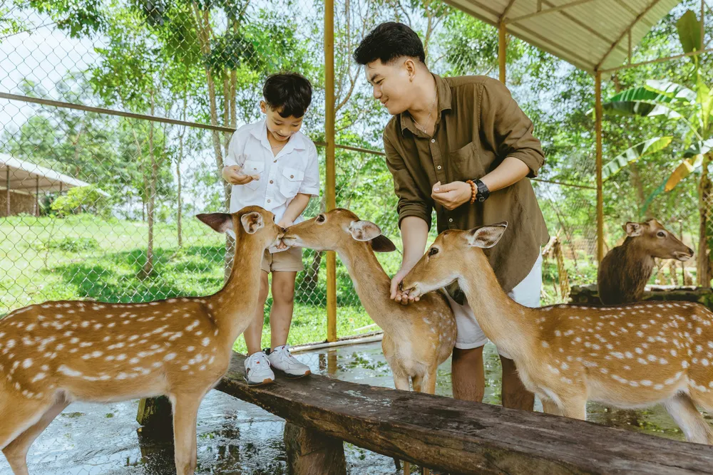 Tìm hiểu cuộc sống của các loài động vật tại vườn thú. Ảnh: KIỀU HƯƠNG H5.jpg